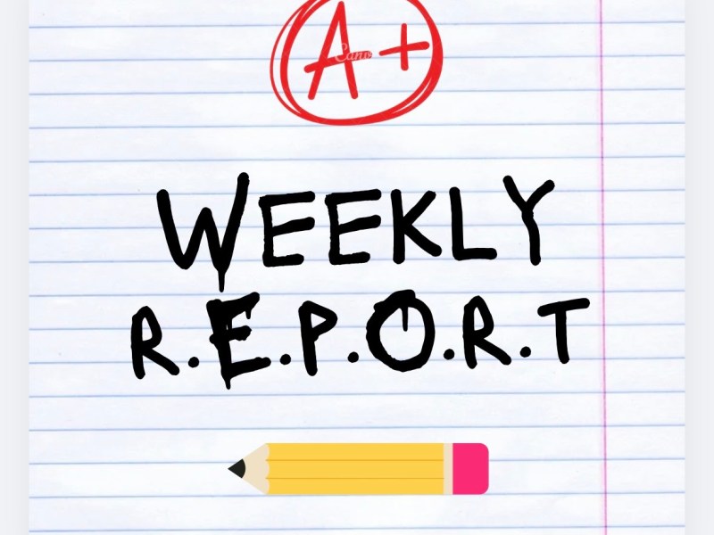 Friday Faves: Weekly&nbsp;Report